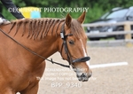 BPP_9340