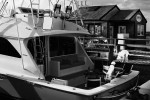 shipmates b&w