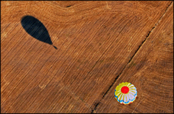 Meditation Project portfolio