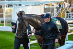 141125-Race 6-Quint Major-1176