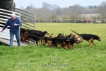 Berks & Bucks - Loddon Court Farm 23-03-25 portfolio