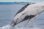 0A3A6180. Breach in Glassy Water 6