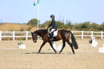 SBM_013173