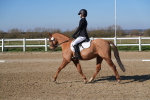 SBM_001164
