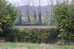 WJ7_8210