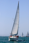190629 SEA THYME GBR3571L 1Y3A0424_Edit