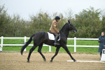 LAD_3410