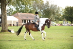 SBM_50201