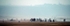 Fishing on Montrose Beach