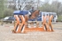 BPP_1481