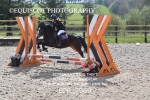 BPP_7969