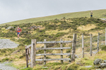 Skiddaw-767