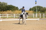 SBM_008739
