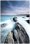 Rocky Shores, Bangor (IMG0458)