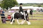 SBM_06088