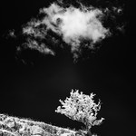 19 27-7030105