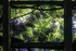 Secret Window