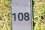 SBM_13479
