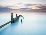 Tranquil Dawn