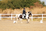 SBM_016740