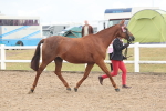 SBM_08486