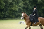 Side Saddle Classes 16/07/17 portfolio