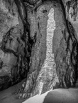 03-Mewslade