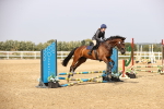 SBM_001275