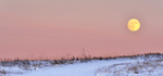 Moonrise