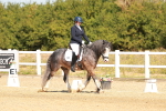SBM_017794