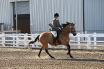 SBM_07909
