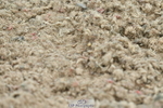 230611A-103914-04960