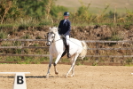 SBM_010528