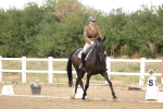SBM_010431