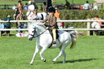 SBM_50312