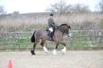 SBM_007170