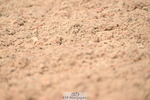 240621A-143515-04309