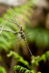 20120530-_MG_9634