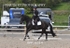 BPP_6314