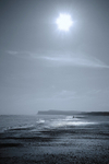 Calm Shores