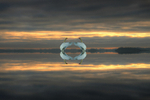 Love, Lough Ree, Ireland.