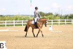 SBM_000291