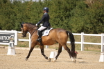 SBM_014722