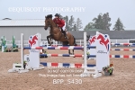 BPP_5430