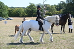 WJ6_8271