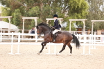 SBM_18982