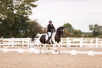 SBM_06390