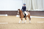 SBM_001232