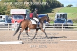 BPP_8578