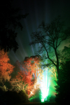 Westonbirt _WB039